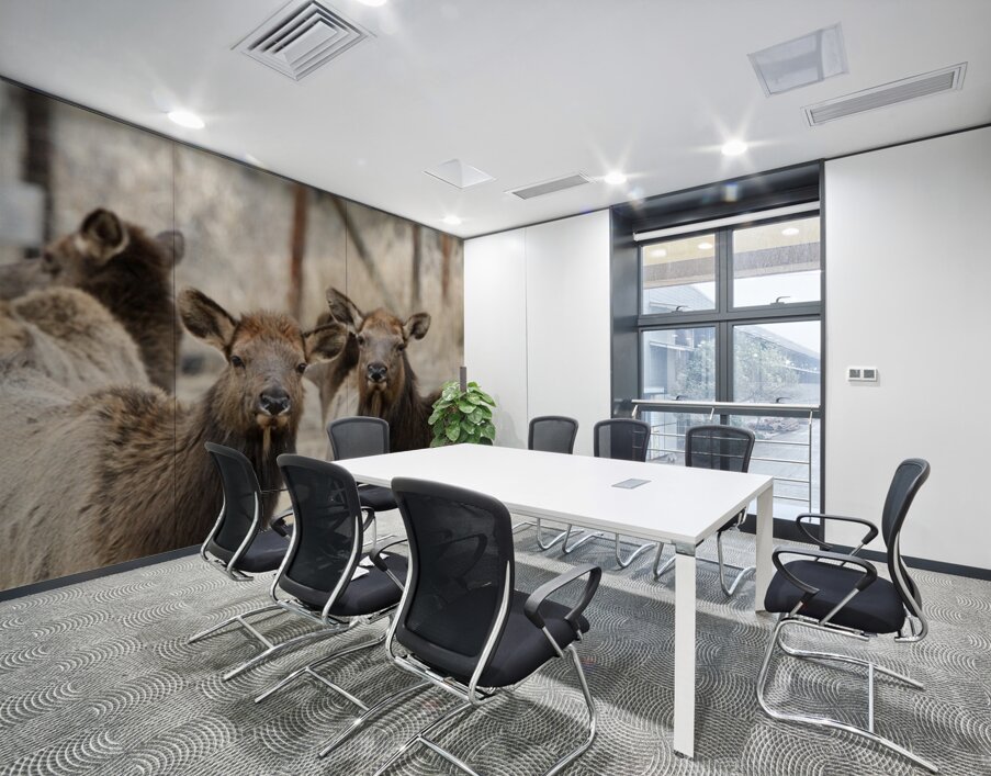 Lady Elks Wall Printing