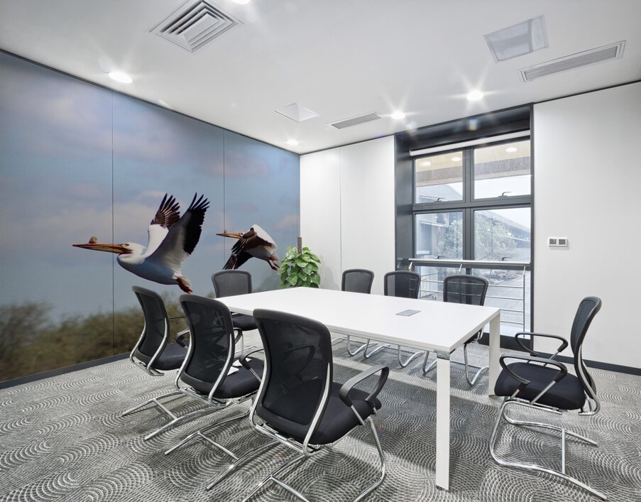 Pelicans Wall Printing