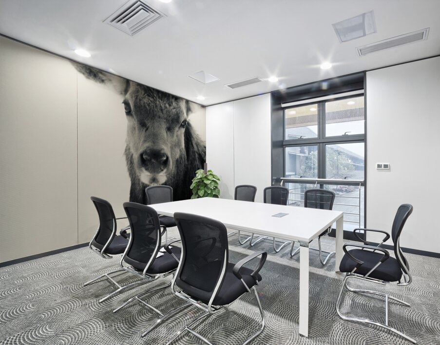 Elk in Black and White  Wall Printing