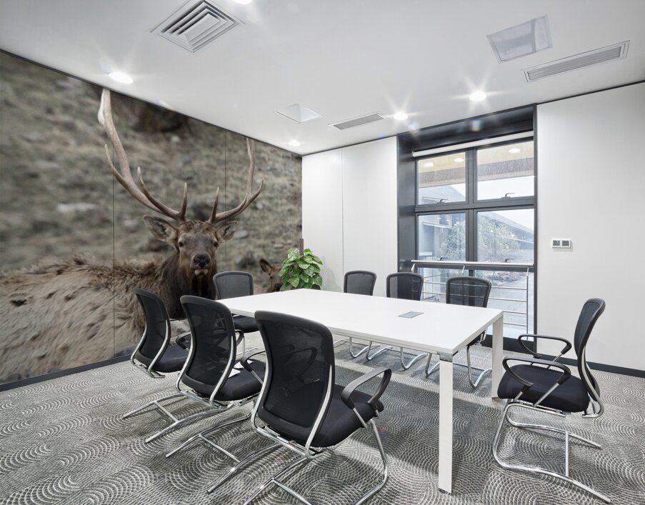 IMG 3516 Wall Printing