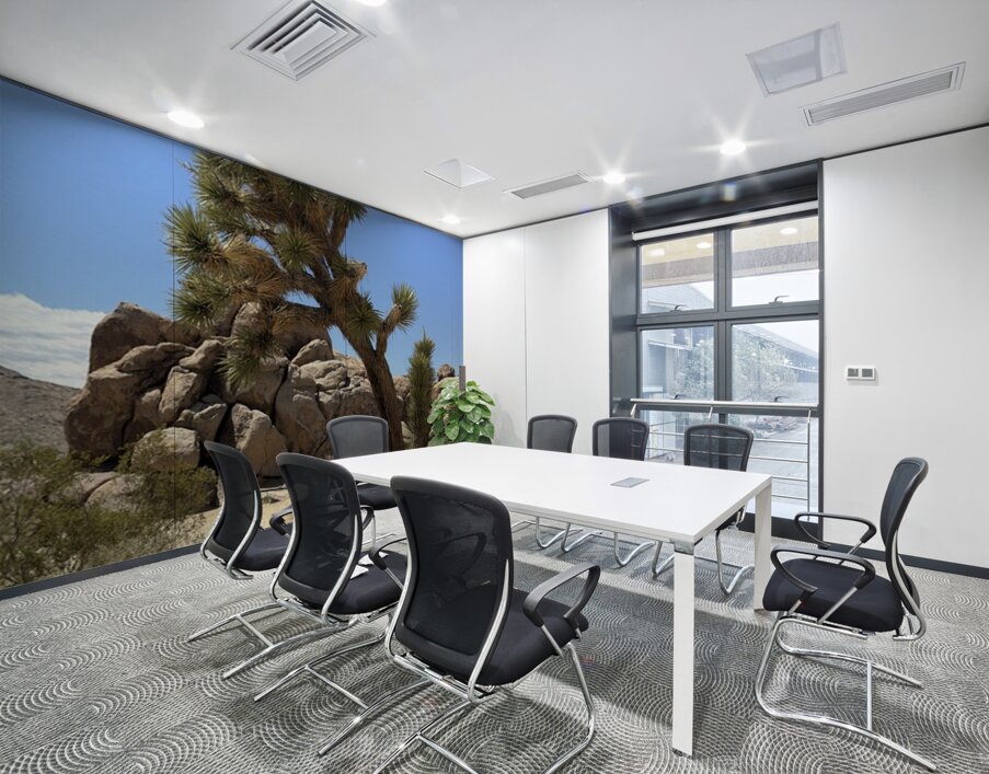 Joshua Tree -1 Wall Printing