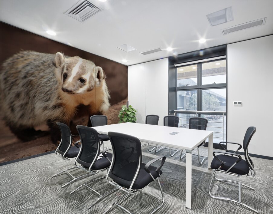 Badger -3 Wall Printing