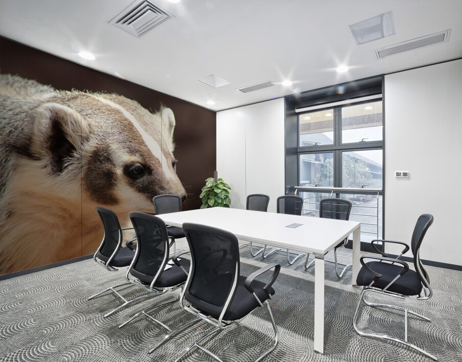 Badger -2 Wall Printing
