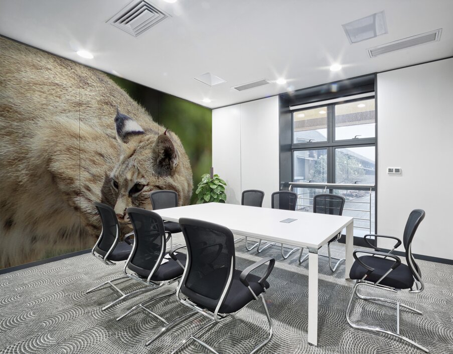 Bobcat -1 Wall Printing