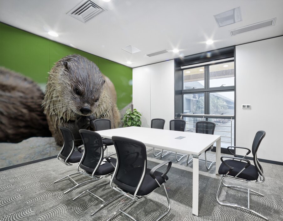 River Otter Wall Printing