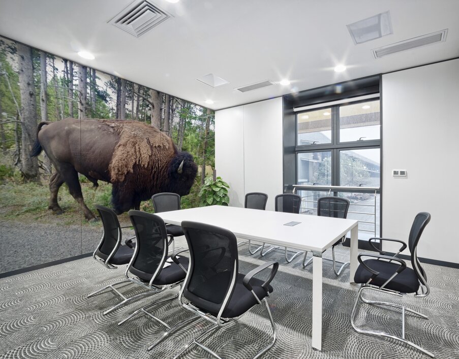 Yellowstone Bison Wall Printing