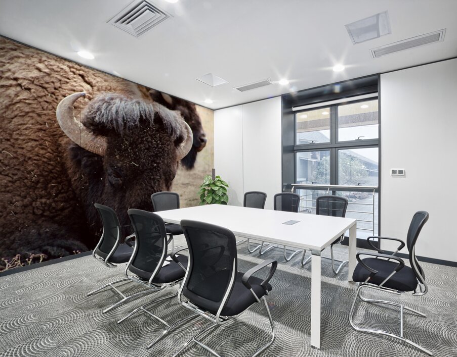 Bison in Arizona  Wall Printing