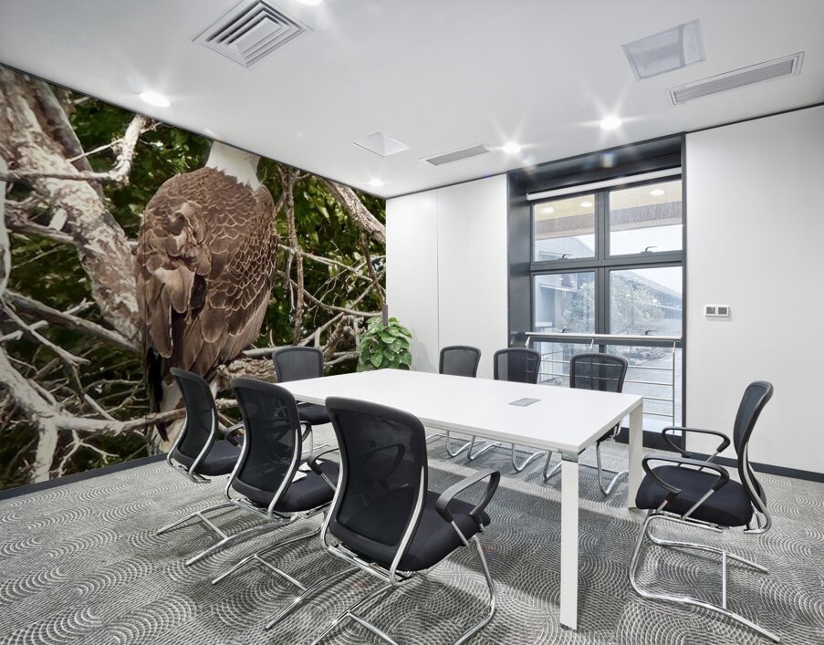 Bald Eagle in tree Wall Printing
