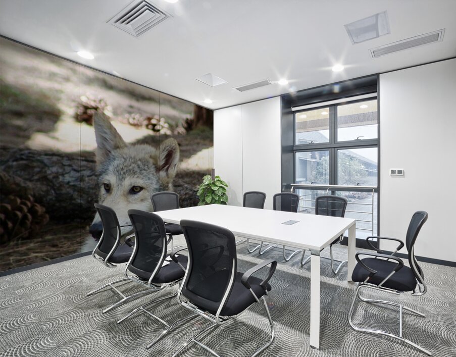 Young Wolf Wall Printing