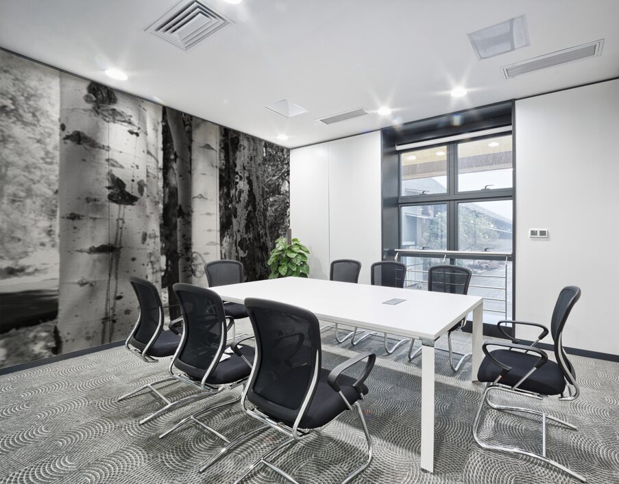 IMG 4696 Wall Printing