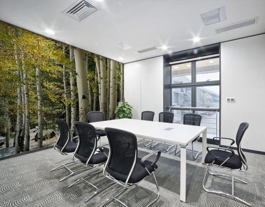 Aspens in Flagstaff -2 Wall Printing