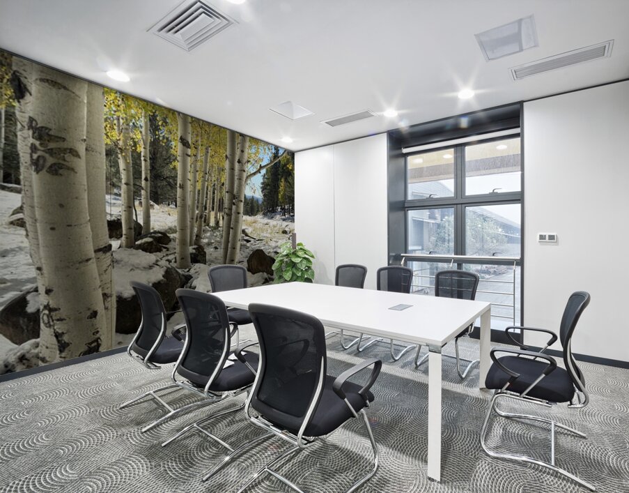 IMG 9854 Wall Printing