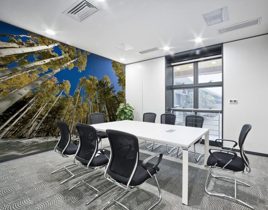 IMG 9874 Wall Printing