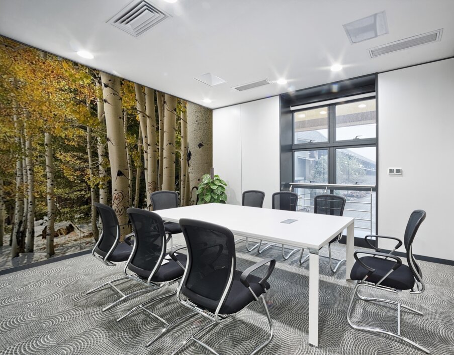 Aspens in Flagstaff -1 Wall Printing