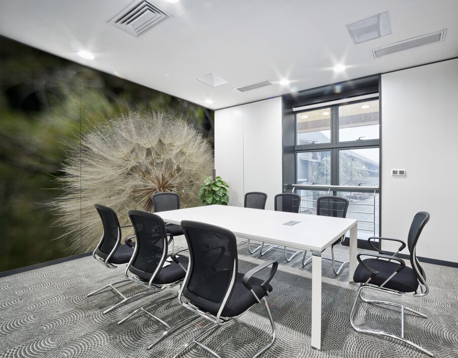Dandelion Head Wall Printing