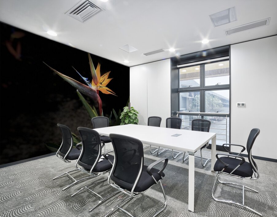 Bird of Paradise Wall Printing