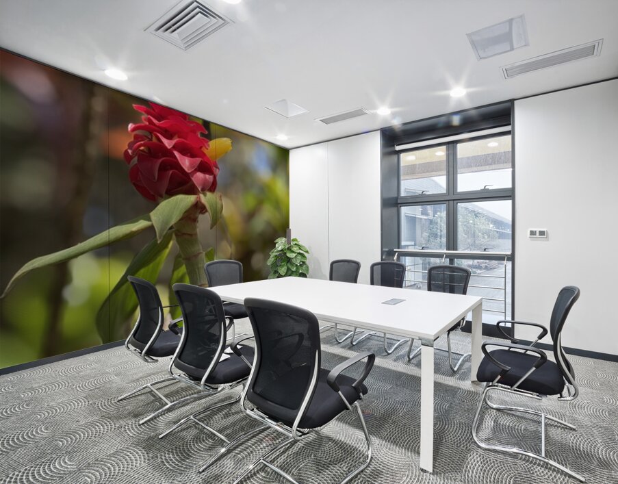 Spiral Ginger Wall Printing