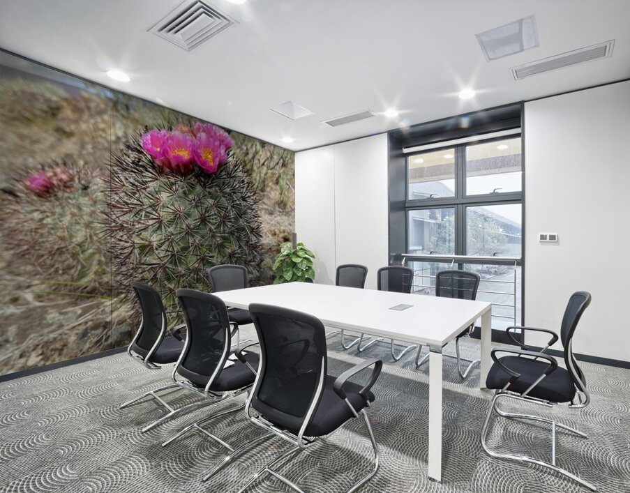 Barrel Cactus Wall Printing