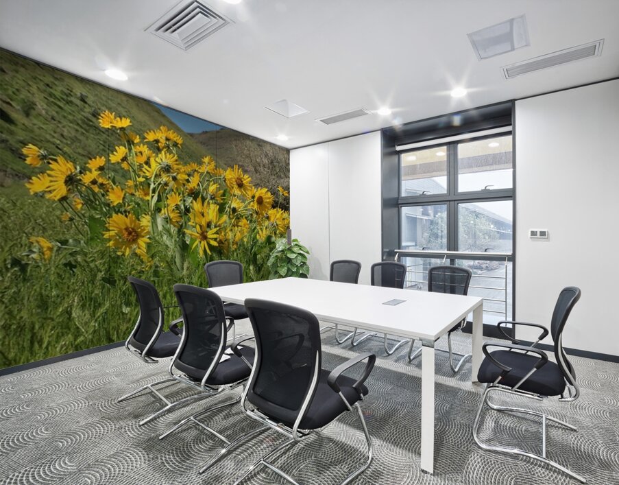 Balsam Root Wildflowers Wall Printing