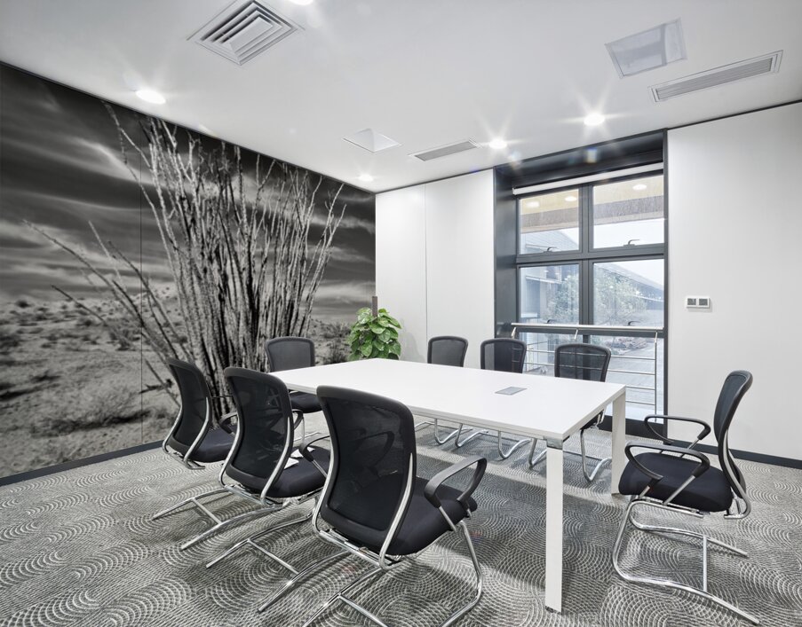 Desert Drama Wall Printing