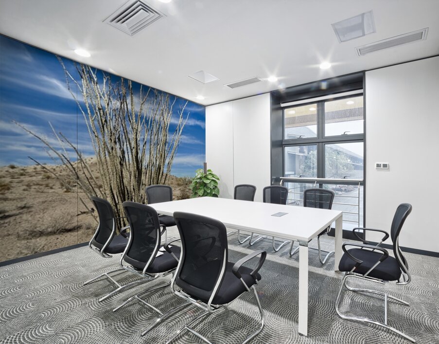 Ocotillo  Wall Printing