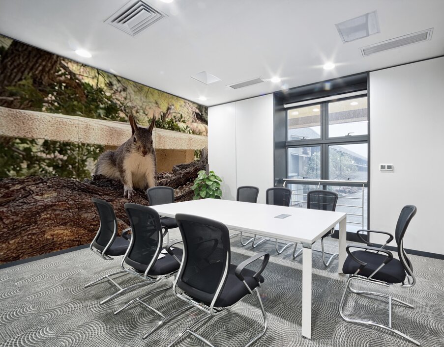 Albert’s Squirrel -2 Wall Printing