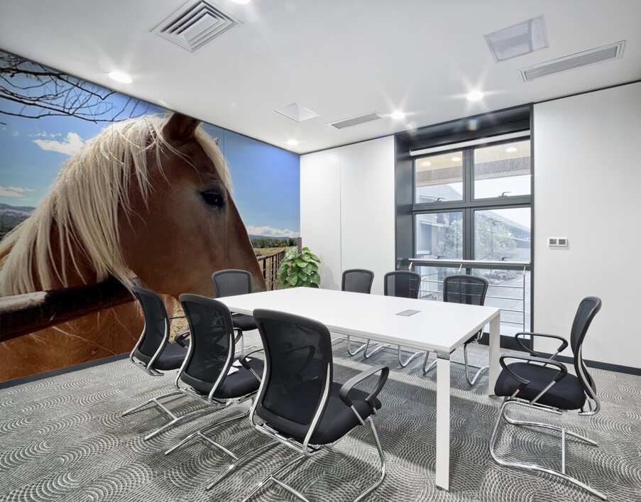 Hay Girl  Wall Printing