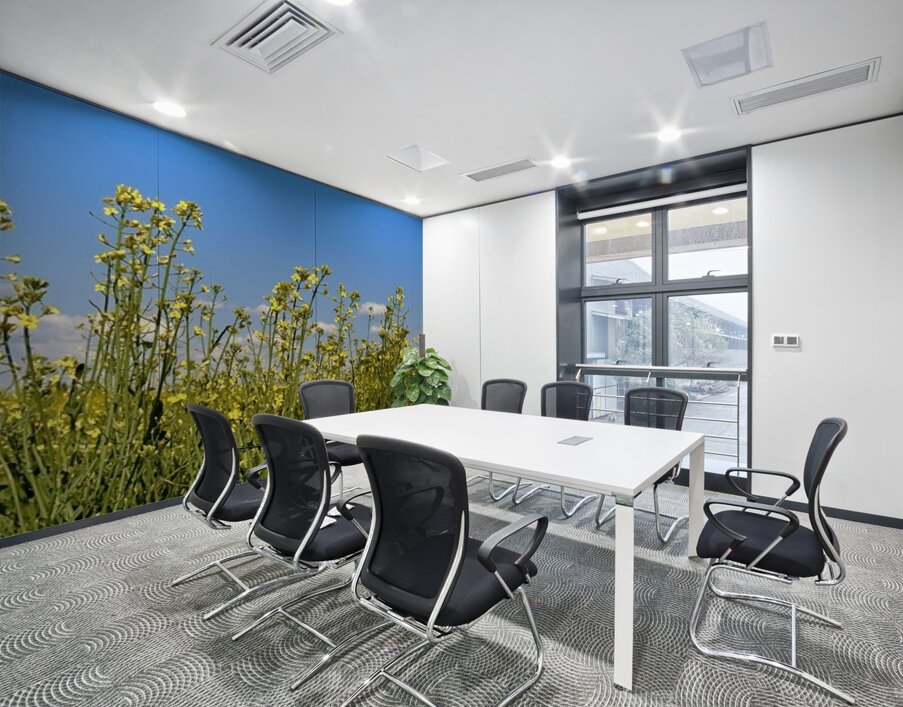 Canola Flowers Wall Printing