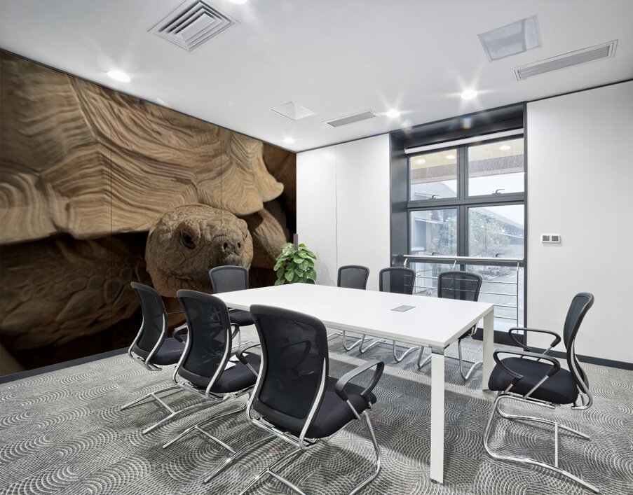 Happy Tortoise -2 Wall Printing