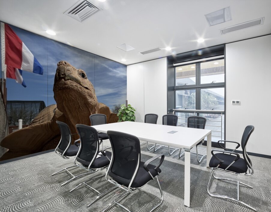 Arizona Tortoise -2 Wall Printing