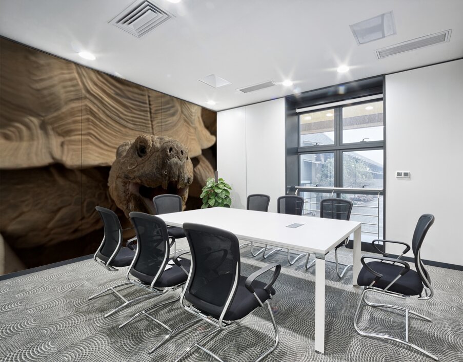 Happy Tortoise Wall Printing