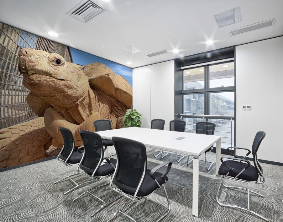 Arizona Tortoise Wall Printing