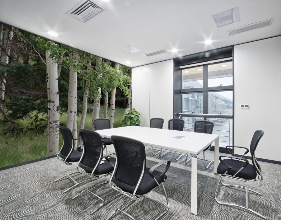 The Earth has music for those who listen. Aspens in Flagstaff Wall Printing