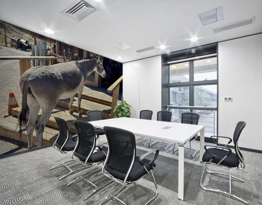 What’s on sale   Wall Printing