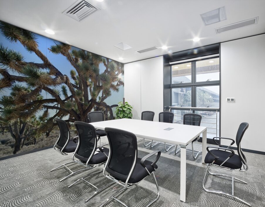 Joshua Tree w sunlight Wall Printing