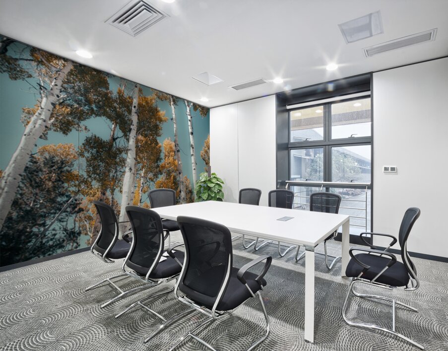 Blue skies and Aspen leaves Wall Printing