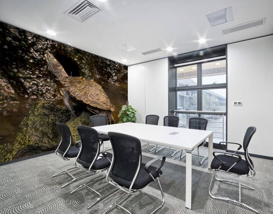 Map Turtle Wall Printing