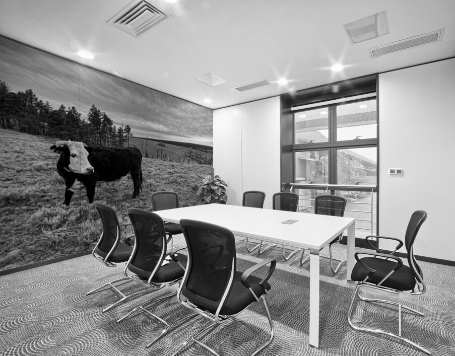 Outstanding in her field Wall Printing