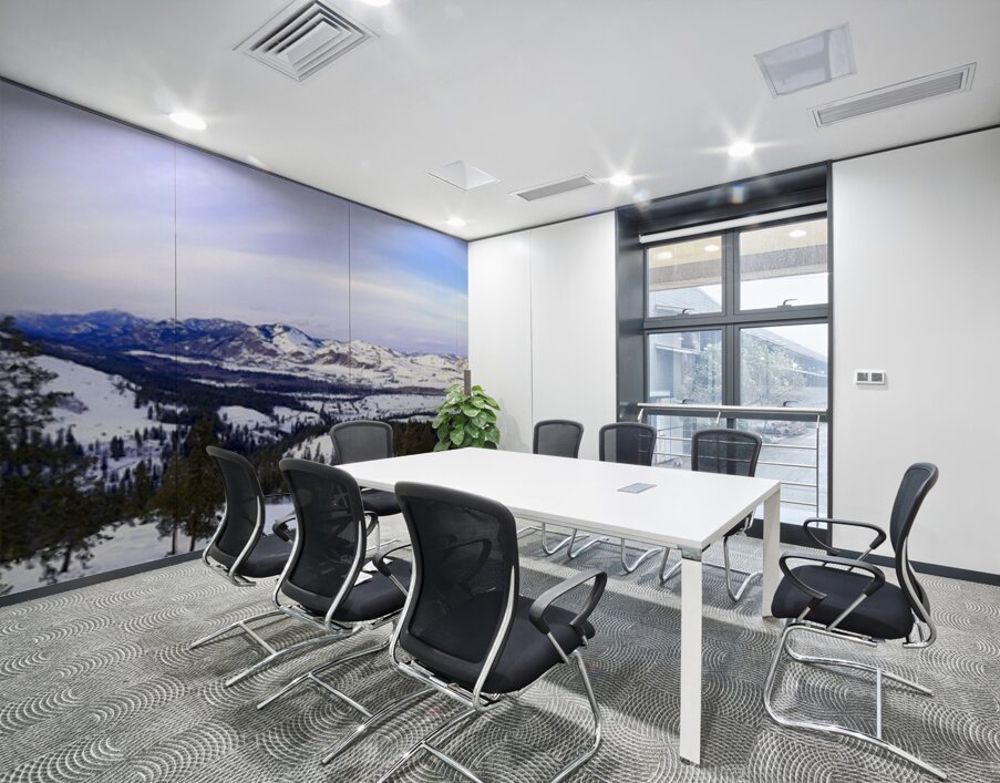 Winter in Washington Wall Printing