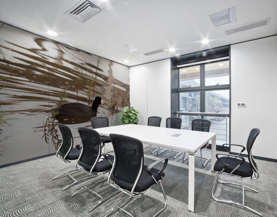 American Coot Wall Printing