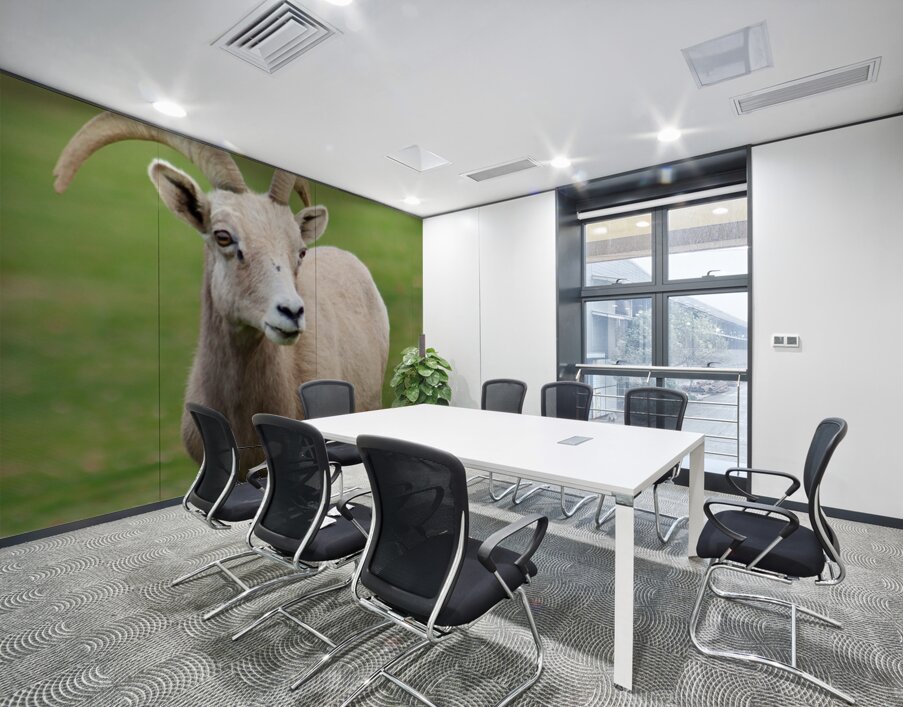 Bighorn Sheep - Nevada 1 Wall Printing