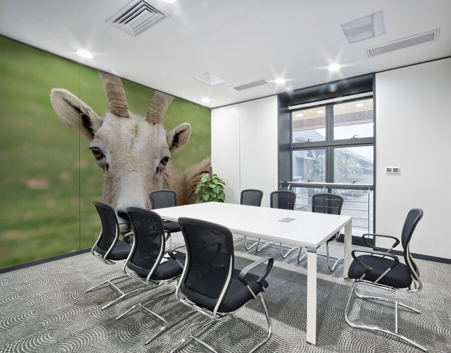 Bighorn Sheep - Nevada 2 Wall Printing