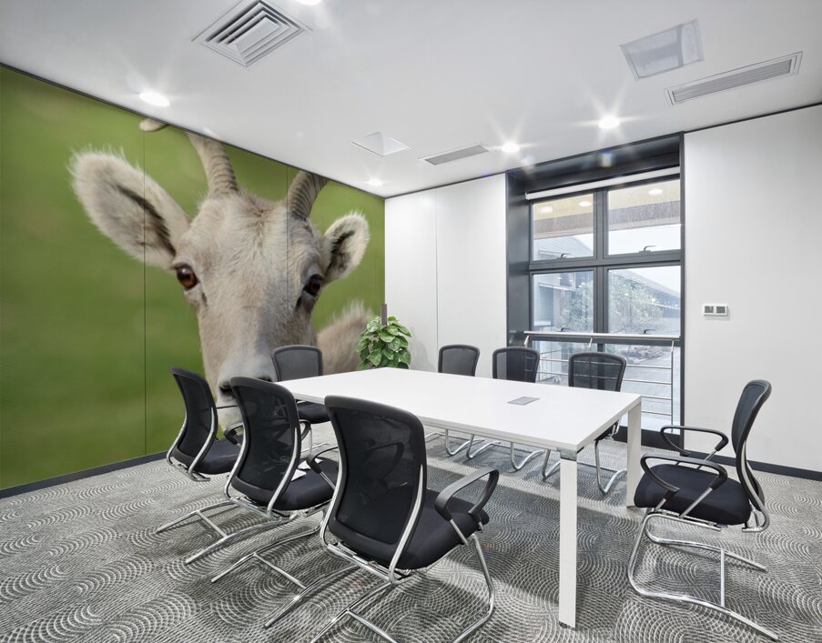 Bighorn Sheep - Heart nose ???? Wall Printing