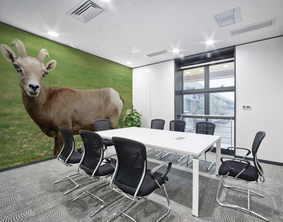 Bighorn Sheep - Nevada 3 Wall Printing