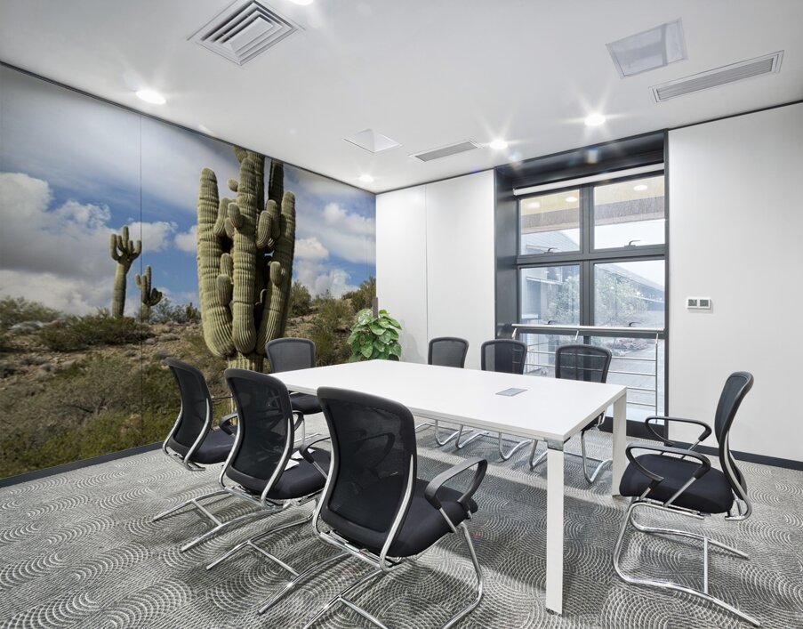 Old Man Saguaro Wall Printing