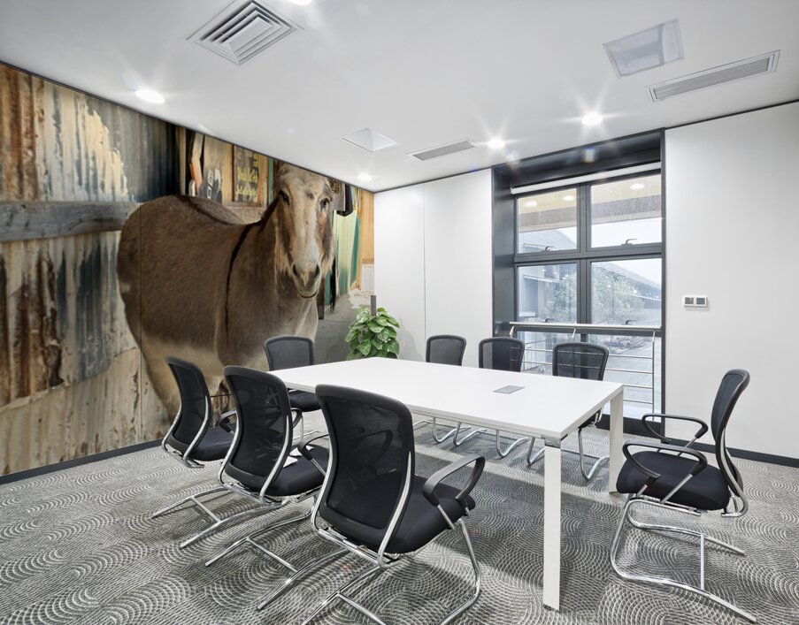 Oliver with “winter chops” Wall Printing