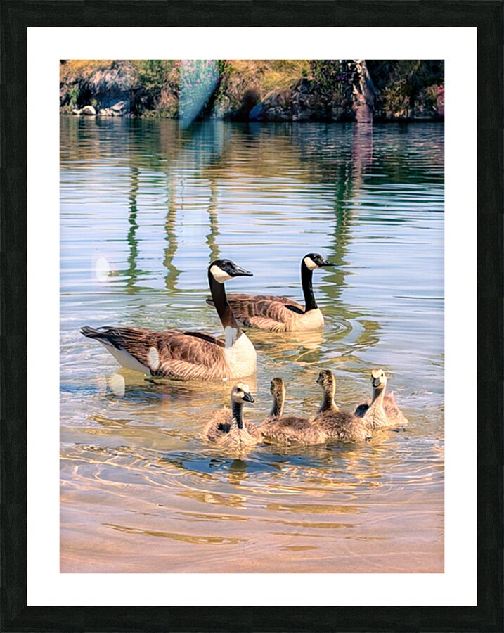 Little ripples big love  Picture Frame print