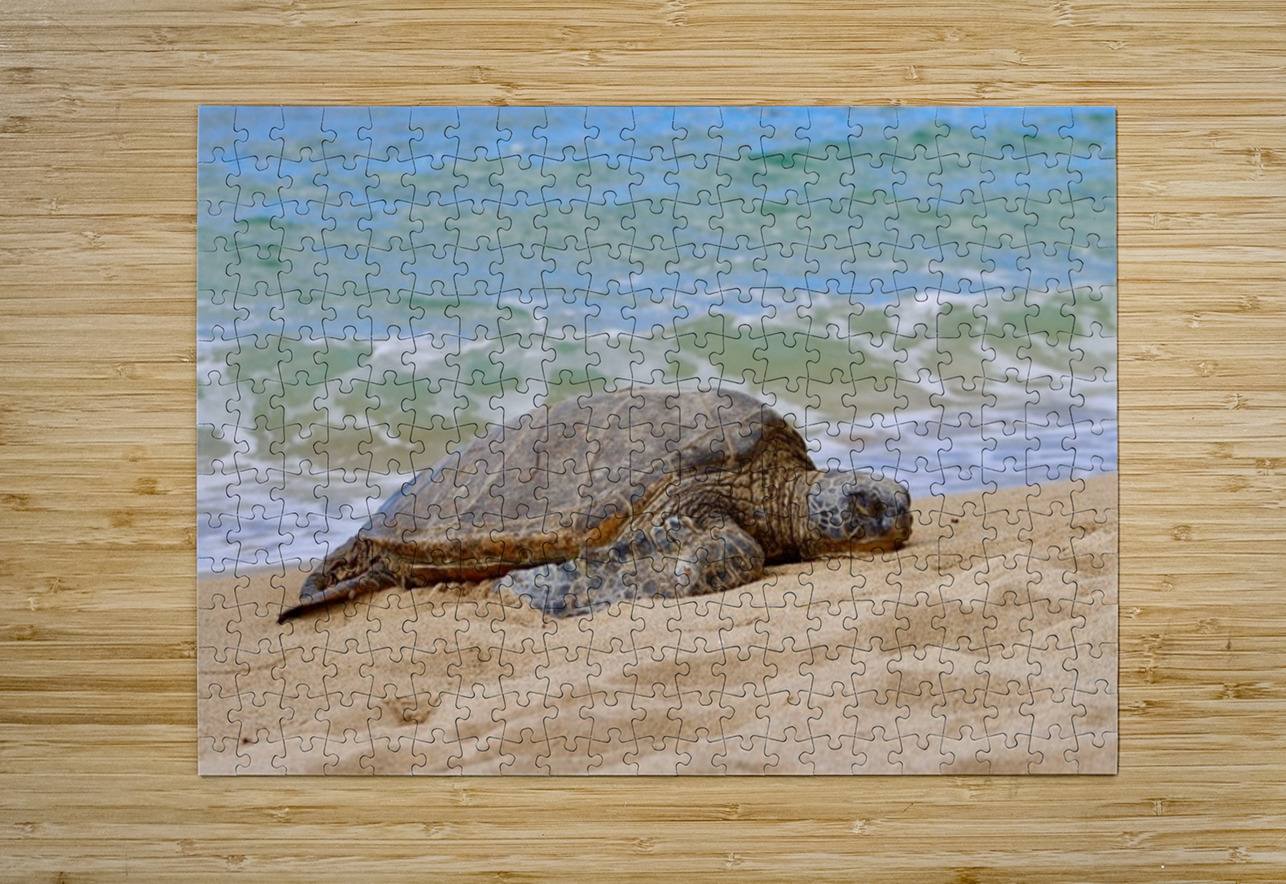Maui Sea Turtle 1 Leslie Affeldt Photography Puzzle printing