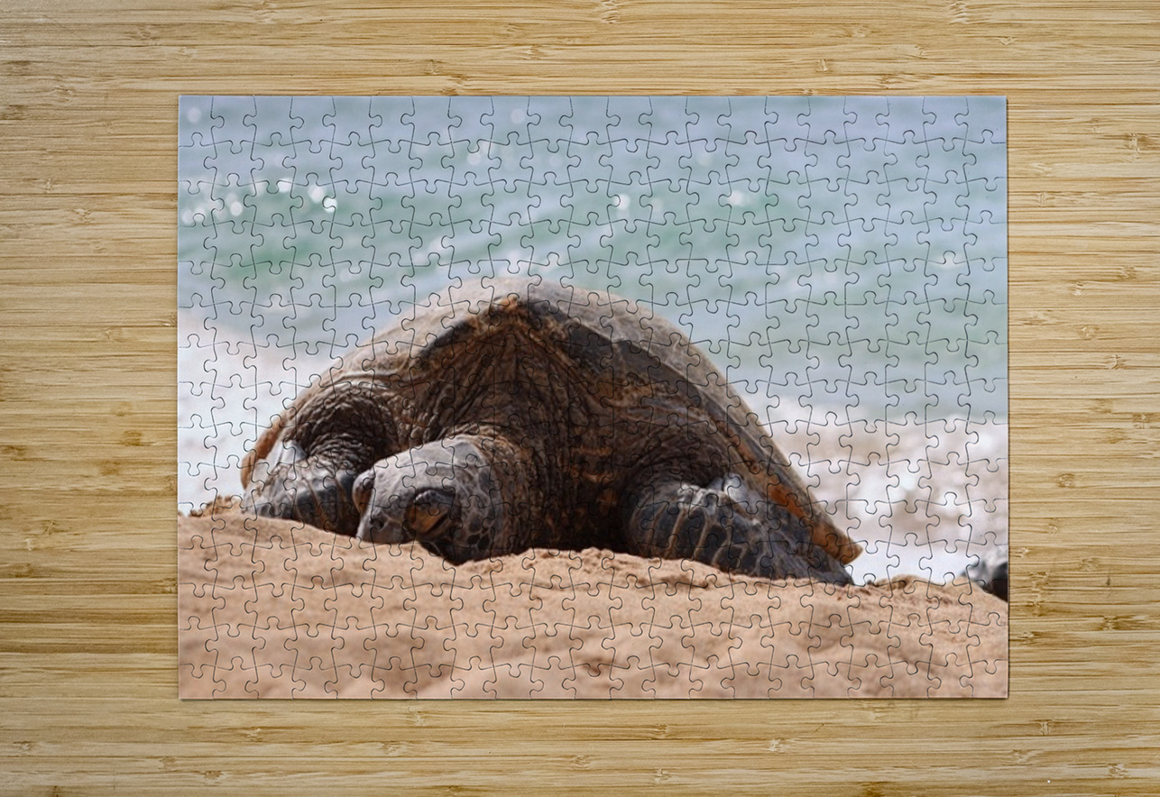Maui Sea Turtle 2 Leslie Affeldt Photography Puzzle printing