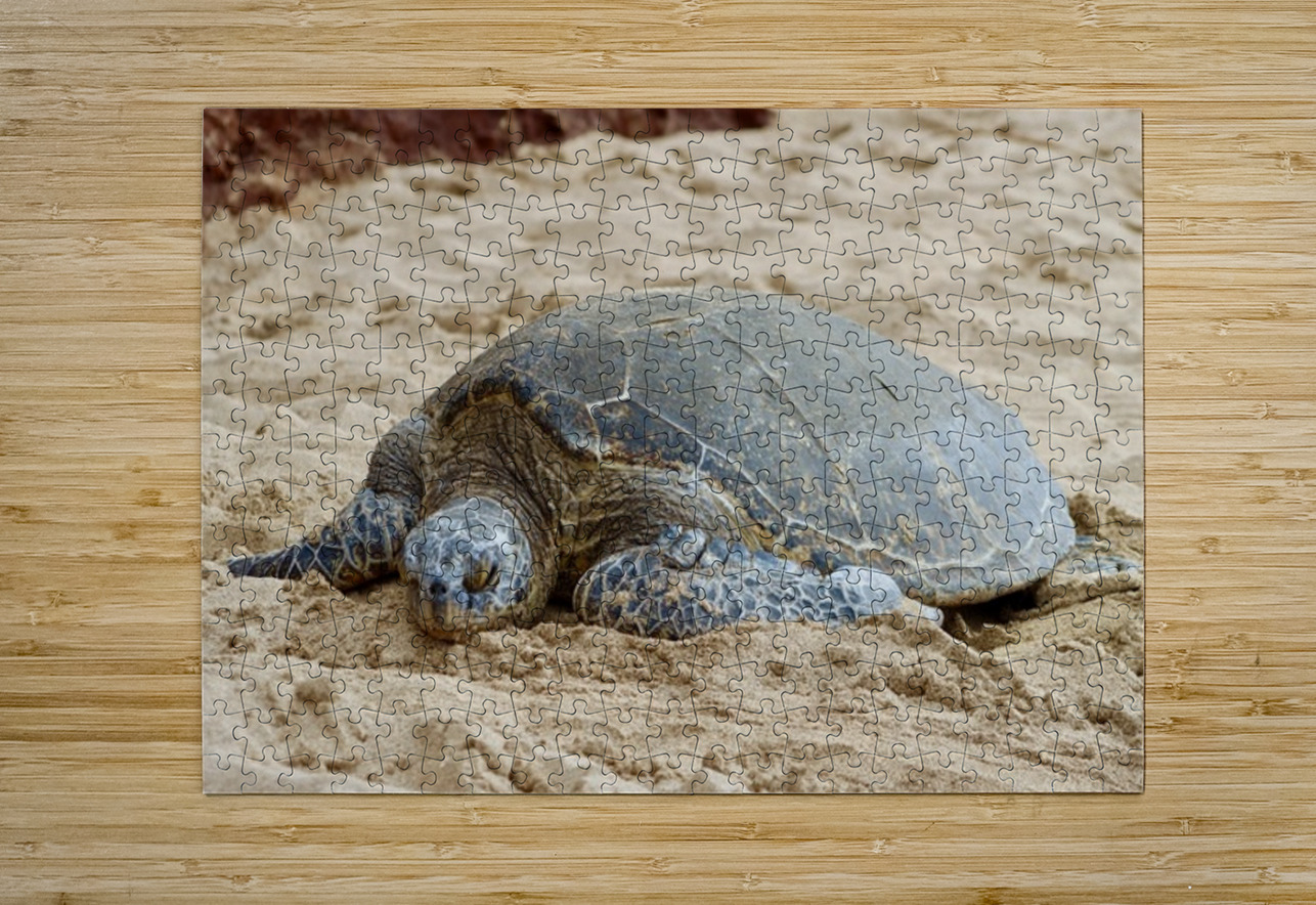Maui Sea Turtle 3 Leslie Affeldt Photography Puzzle printing